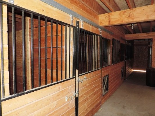 Hadley Ranch – For Horse Lovers!