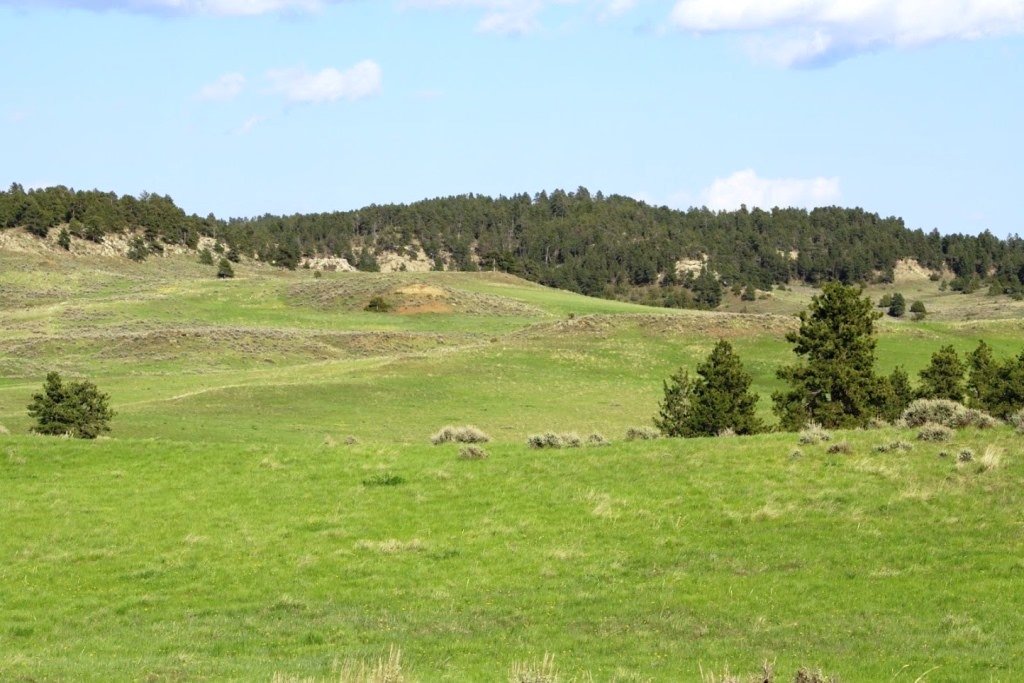 Dean Creek Farm – $1,320,000 – Lavina, MT | Montana Farm and Ranch Brokers