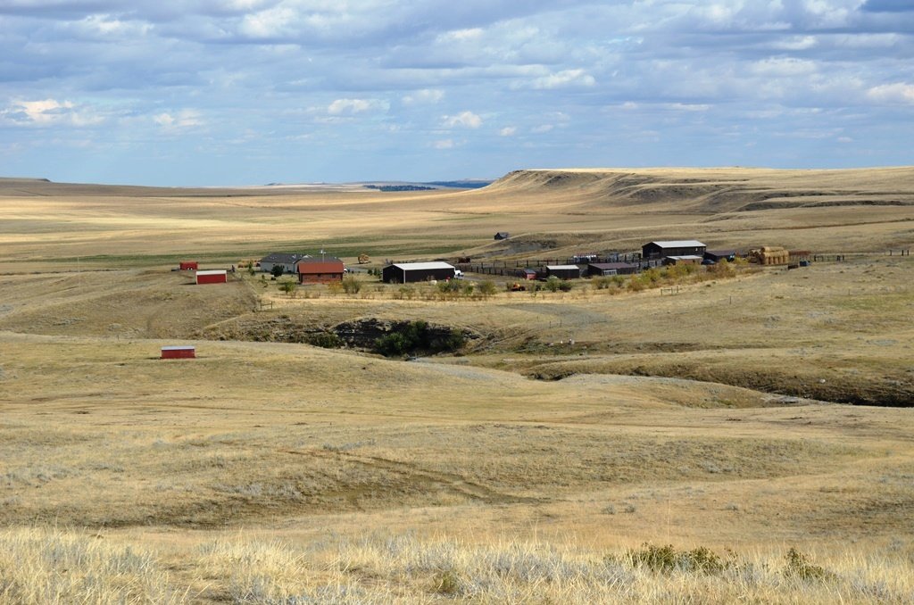 spring-coulee-ranch